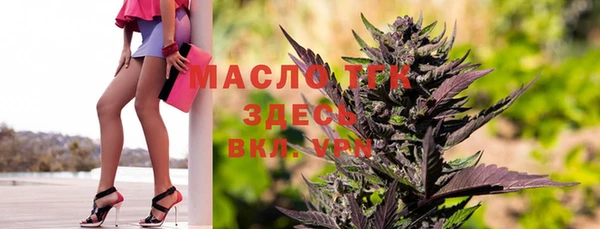 гашик Нестеровская