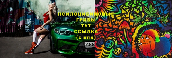 первитин Инсар
