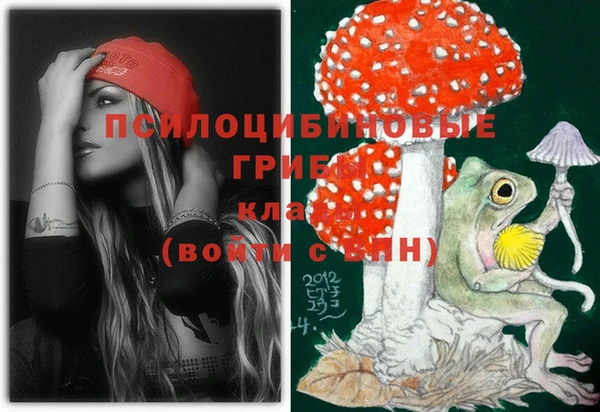 меф Каменск-Шахтинский