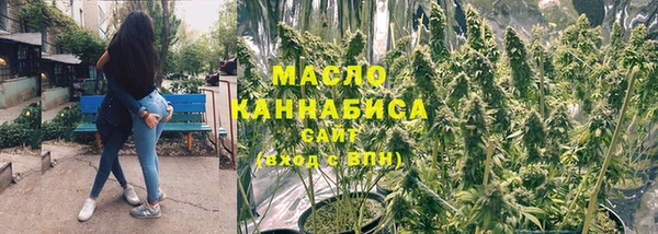 первитин Инсар