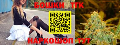 гидра Гатчина
