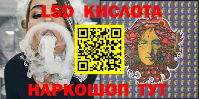 гидра Гатчина