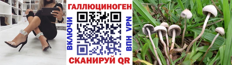 ссылка на мегу сайт Кандалакша Псилоцибиновые грибы мухоморы