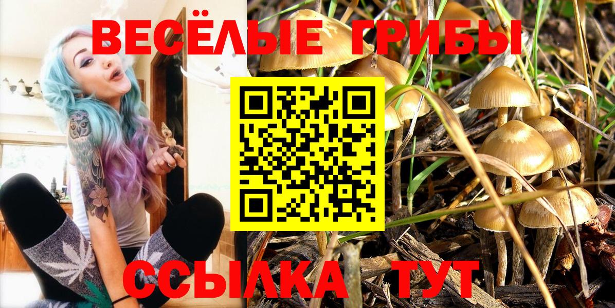Псилоцибиновые грибы ЛСД  Вход с VPN  Кандалакша 