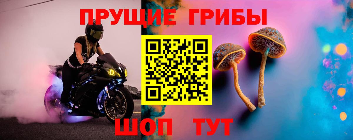 Галлюциногенные грибы Psilocybe Кандалакша